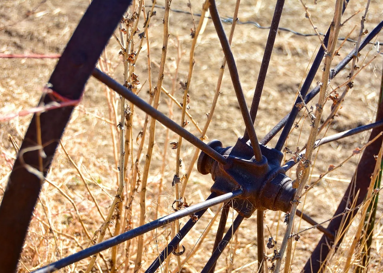 Who Invented the Wheel
