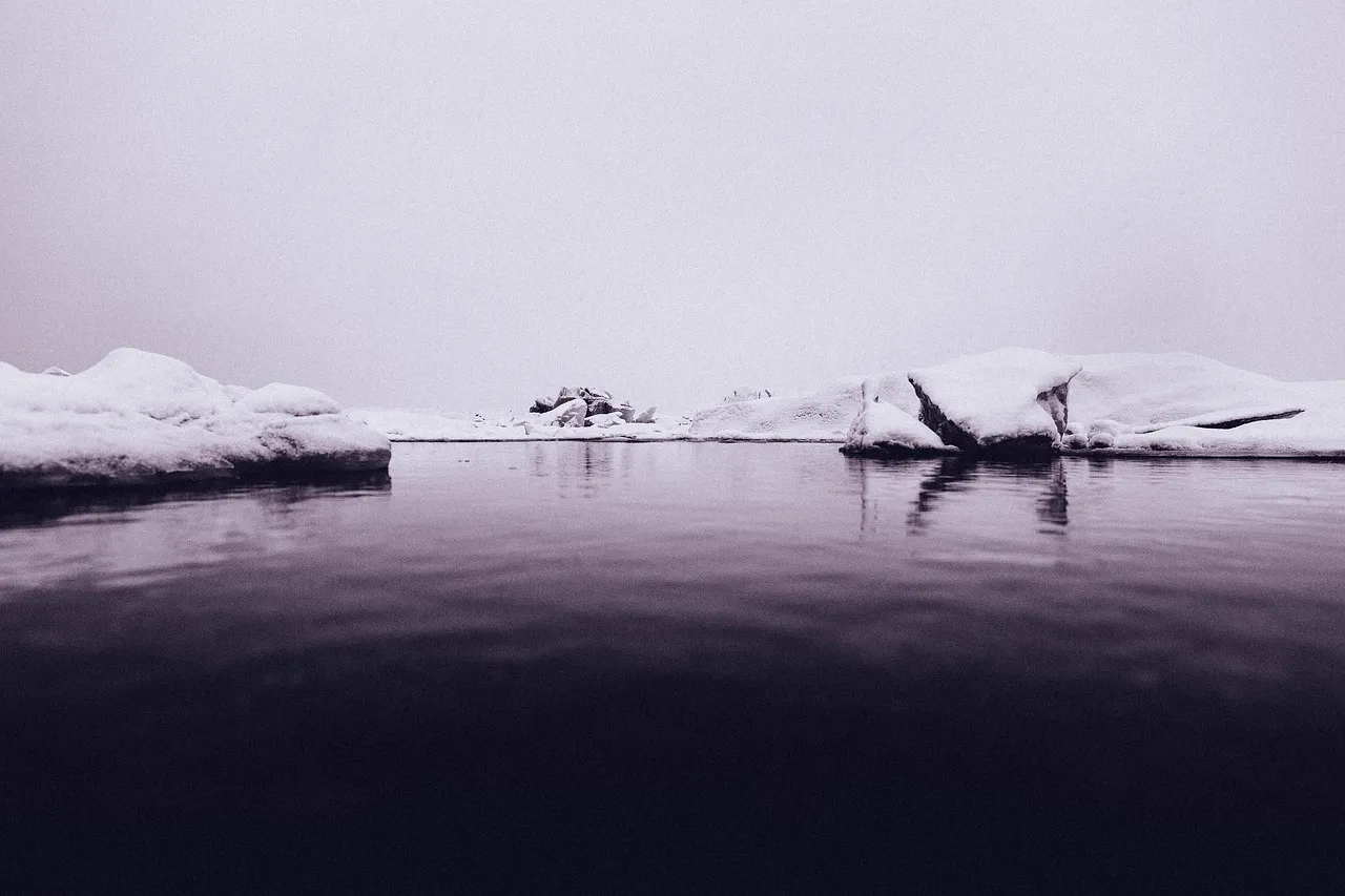 Is There Plant Life In Antarctica ?