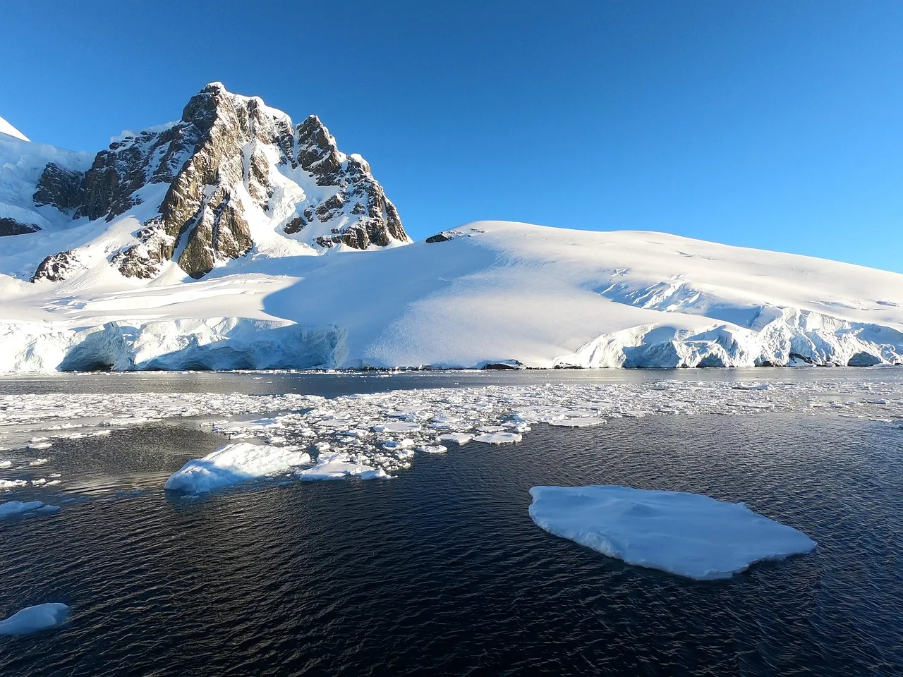 Is There Plant Life In Antarctica ?