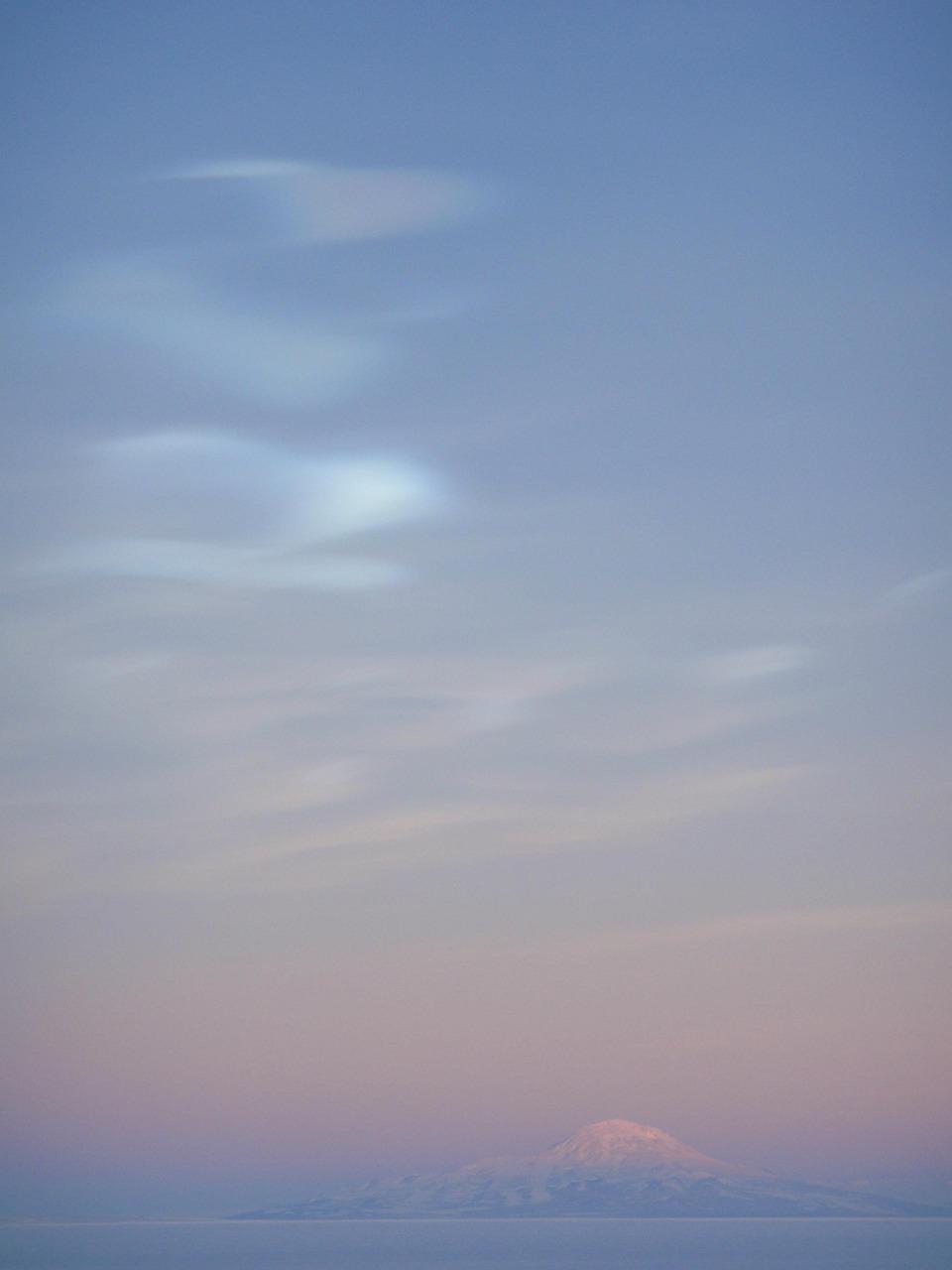 Is There Plant Life In Antarctica