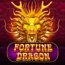 FORTUNE DRAGON